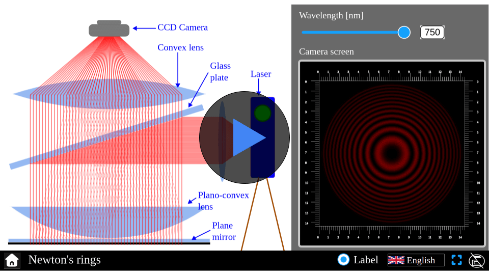 Simulator interface demonstrating Newton's rings, with adjustable lens curvature and light wavelength. Shows the formation of concentric rings due to interference.