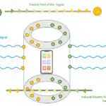 Faraday-bag- distribution of charges
