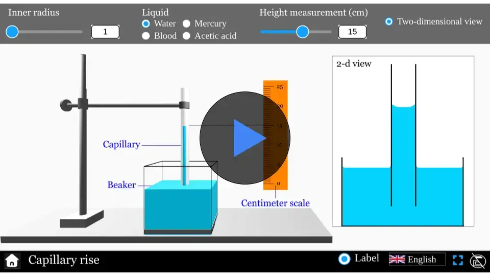 Capillary Rise Simulator demonstrating liquid behavior in a capillary tube.