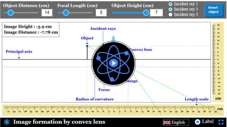 Convex mirror simulator - Explerify.com