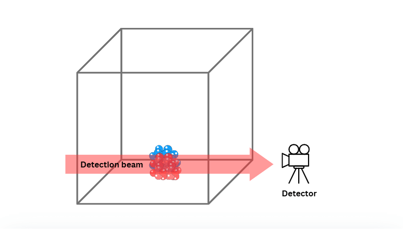 atom interferometer Step 5