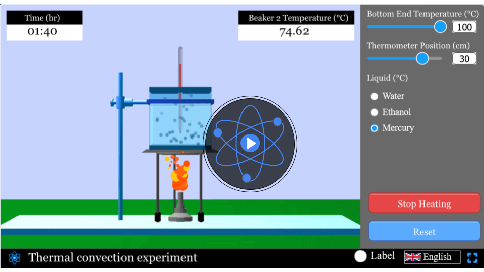 Thermal convection experiment