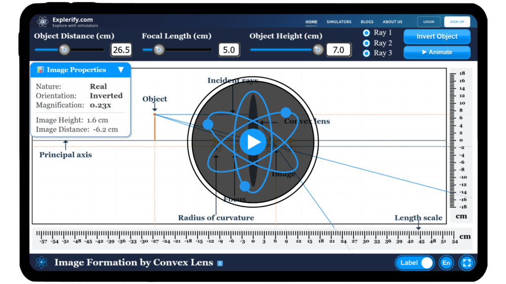 Ray diagram of a convex lens demonstrating convergence of light rays and image formation
