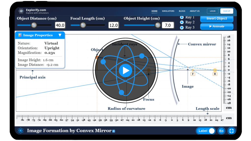 Convex mirror ray diagram showing virtual, erect, and diminished image formation.