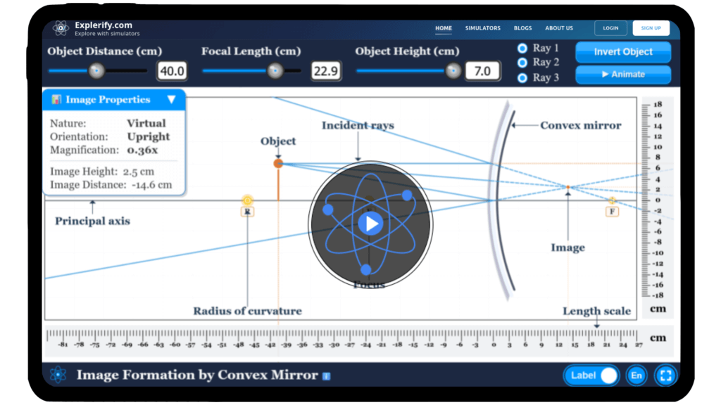 Convex mirror ray diagram showing virtual, erect, and diminished image formation.